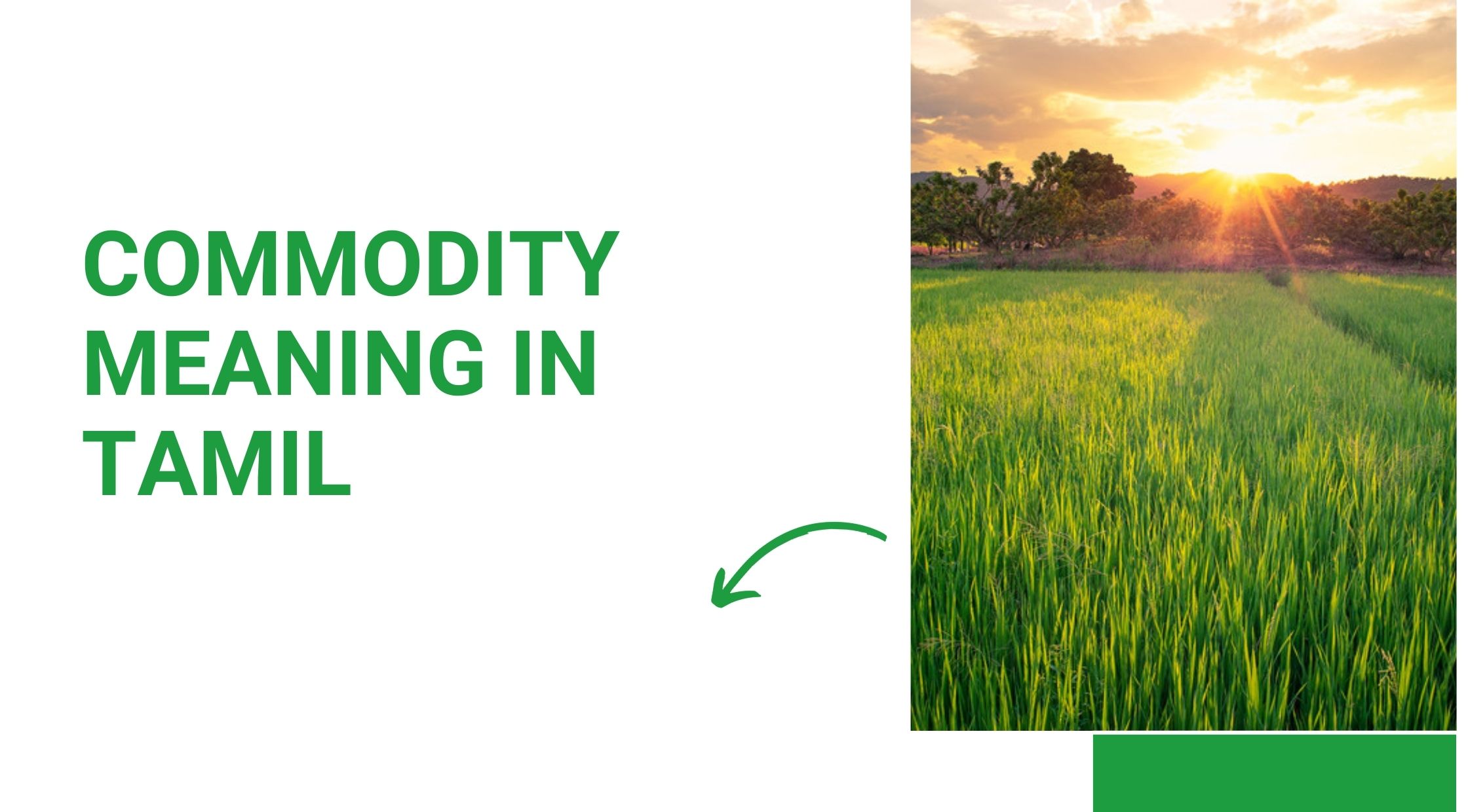 Commodity Meaning in Tamil